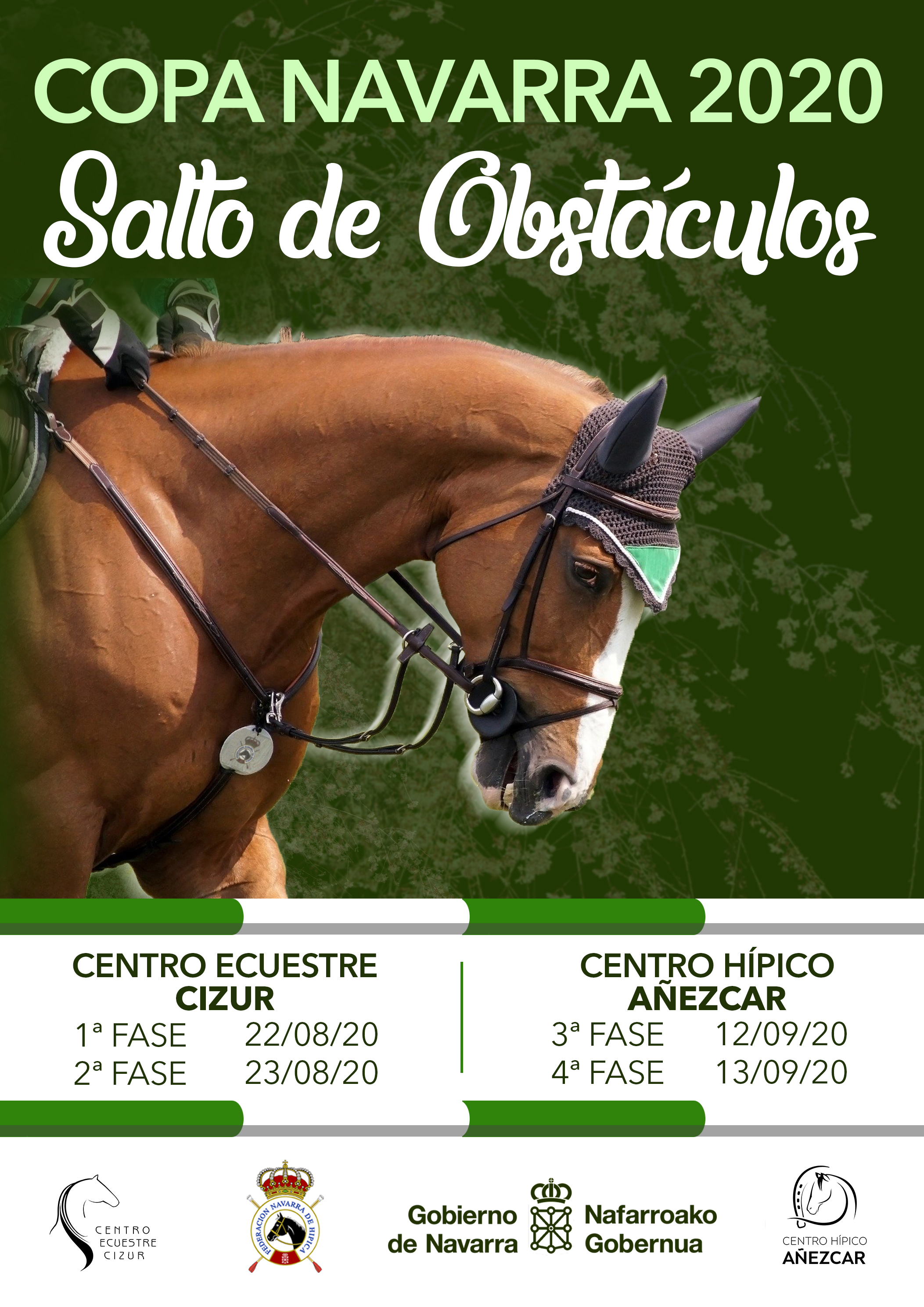 Resultados Finales Copa Navarra Salto de obst&aacute;culos 2020